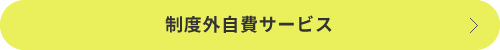 制度外自費サービス